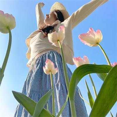 少年泰坦出击第七季